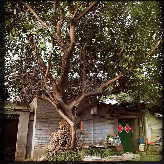 �����ϳ�һ��