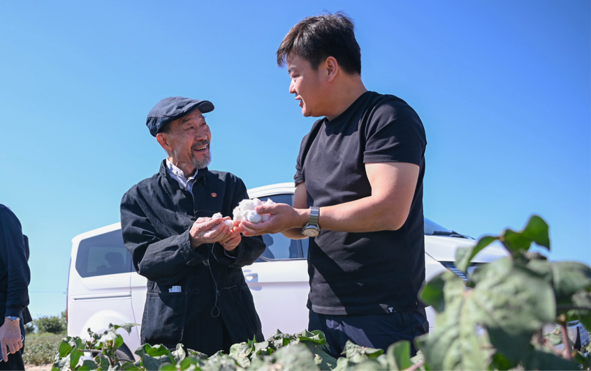 在玛纳斯县北五岔镇田家井村的棉田里,电影《援疆干部》主演李雪健正在了解棉花生长及电影取景地相关情况。