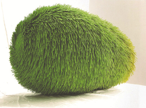 ���������� 2010�꣩ ������ ��