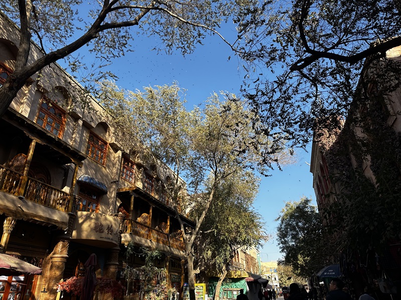 ��ʲ�ųǽֵ�