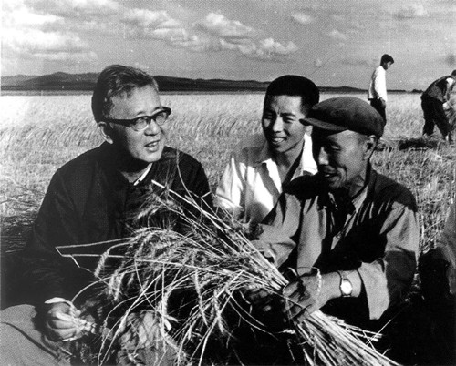 ���������޸�Ϊ�ƹ㡰��ѡ�����͡�ͳ�﷨�������������󹤳���ũ�壬ͼΪ���޸���ũ����һ�����£�