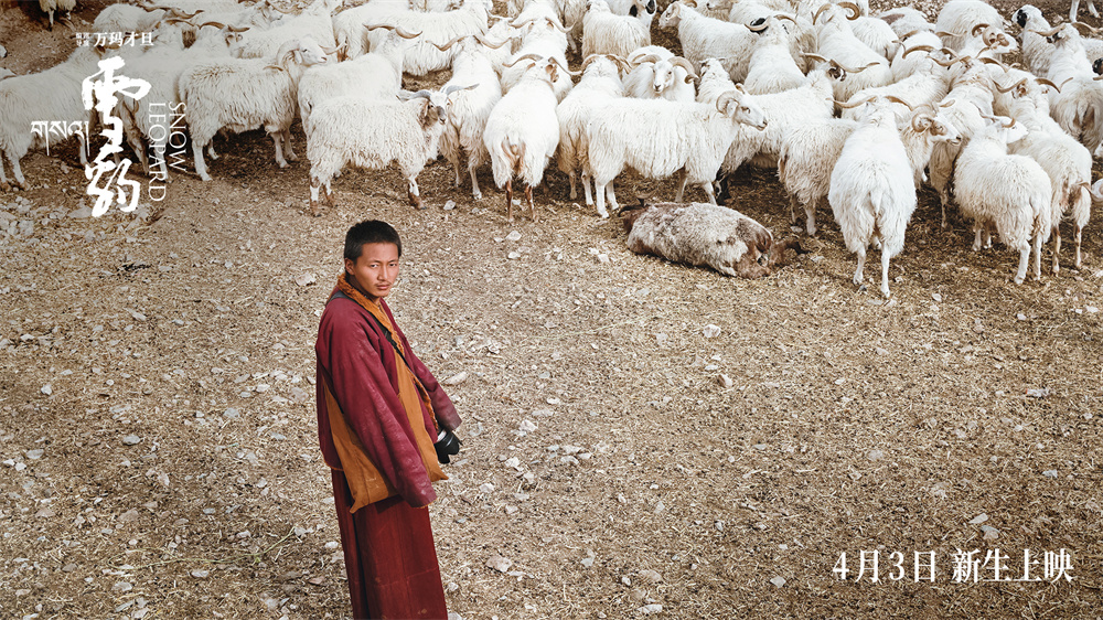 ��ѩ��������