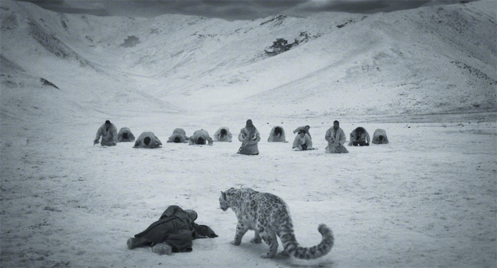 ��ѩ��������