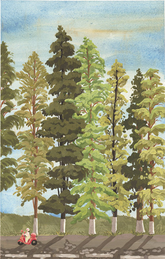 �й��ߵ����� �� �� ��