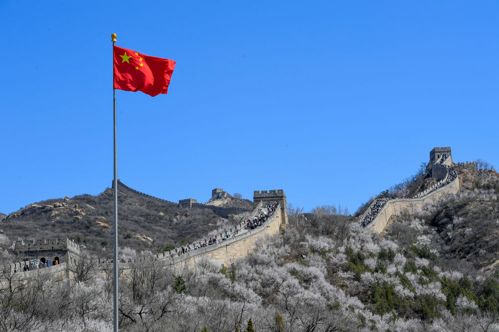 2024年4月7日,游客在山花盛开的八达岭长城观光游览。新华社记者 鞠焕宗 摄