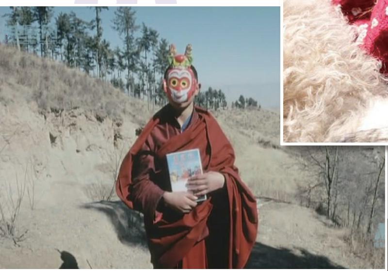 ������������ʯ��