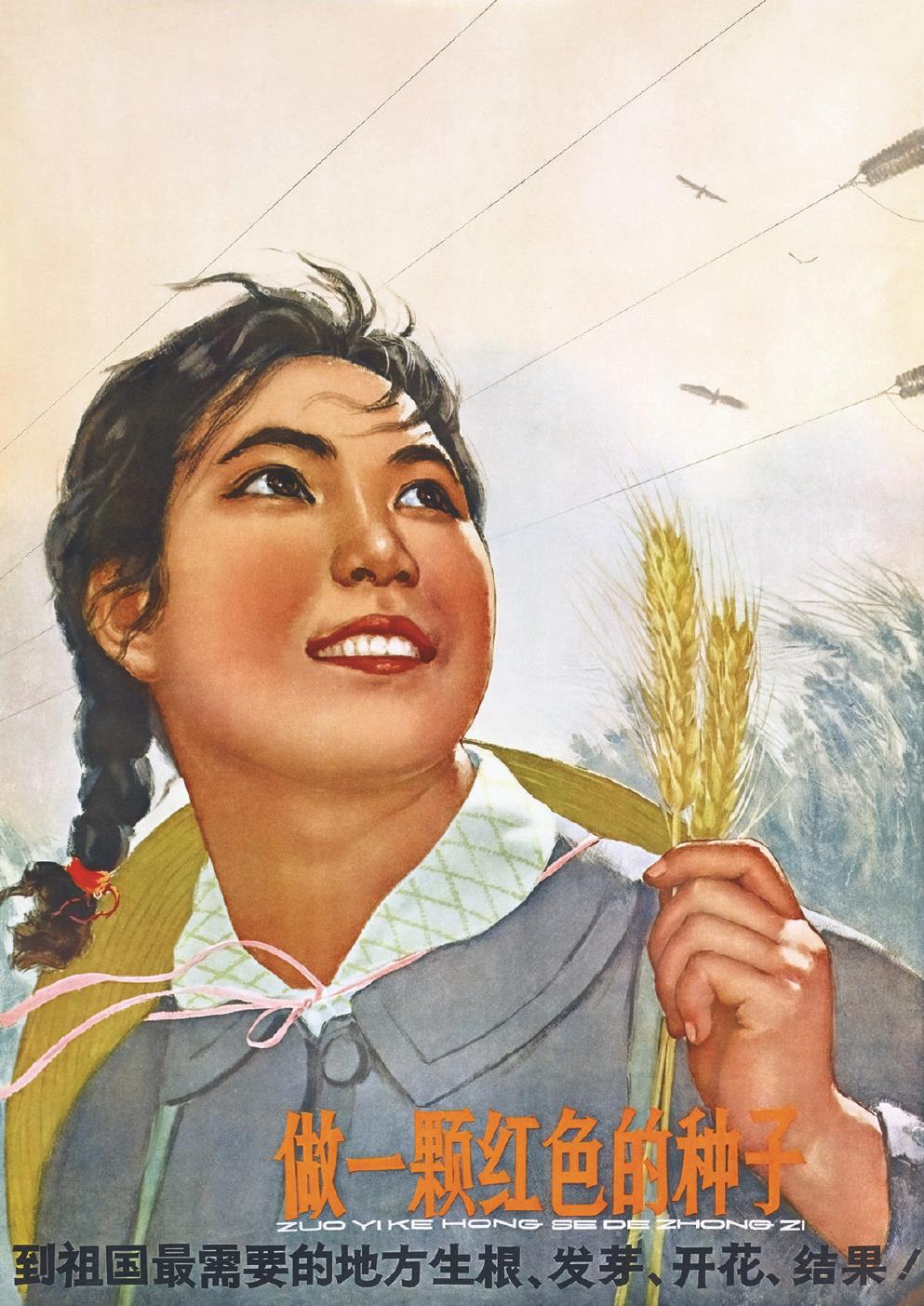 ����һ�ź�ɫ�����ӡ�