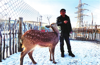 ������С÷��¹��ˣ�� ���� ��