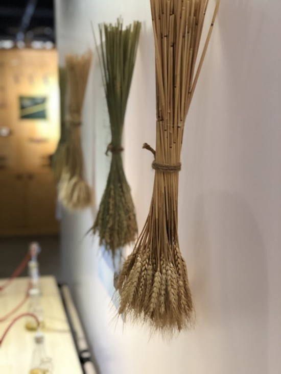 �����Ժ��չ�������ء��ֳ�