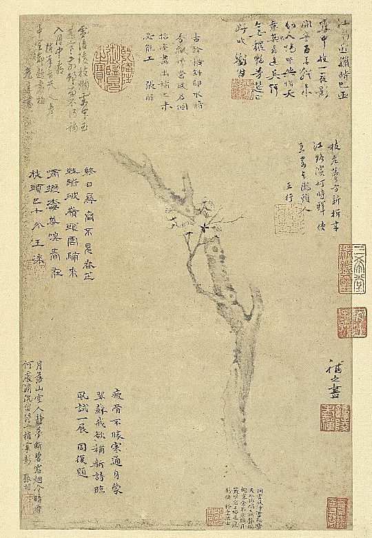 ������ͼ�桷�� �� ���޾�÷�� ̨���ʹ�����Ժ��